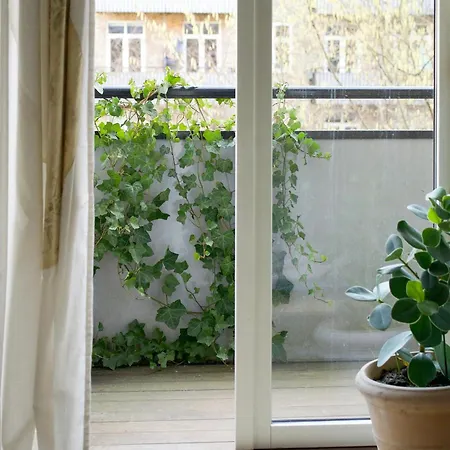 Art-filled Flat With Courtyard Oasis In Norrebro